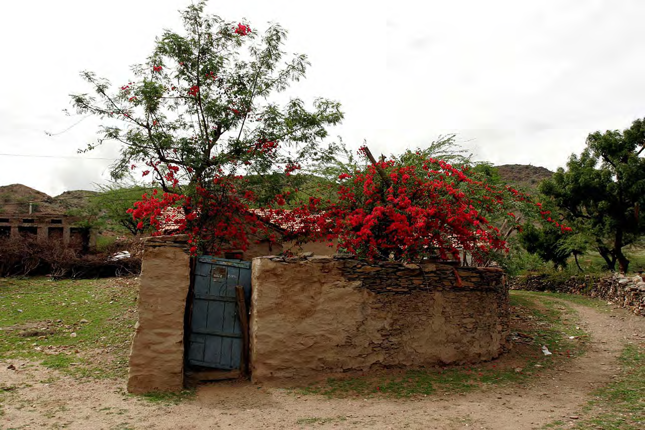 Picture of Mud house in Devdungri
