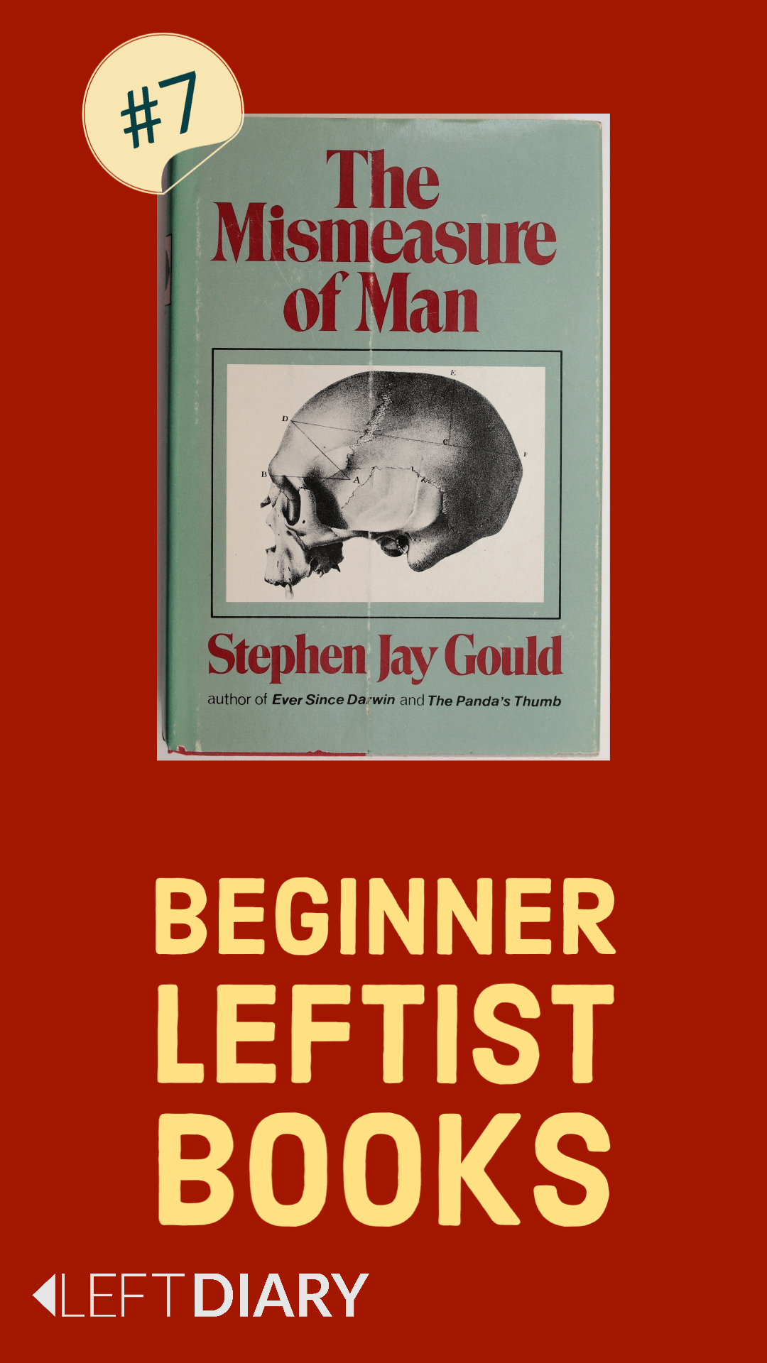 Beginner anarchist books The Mismeasure of Man – Stephen Jay Gould