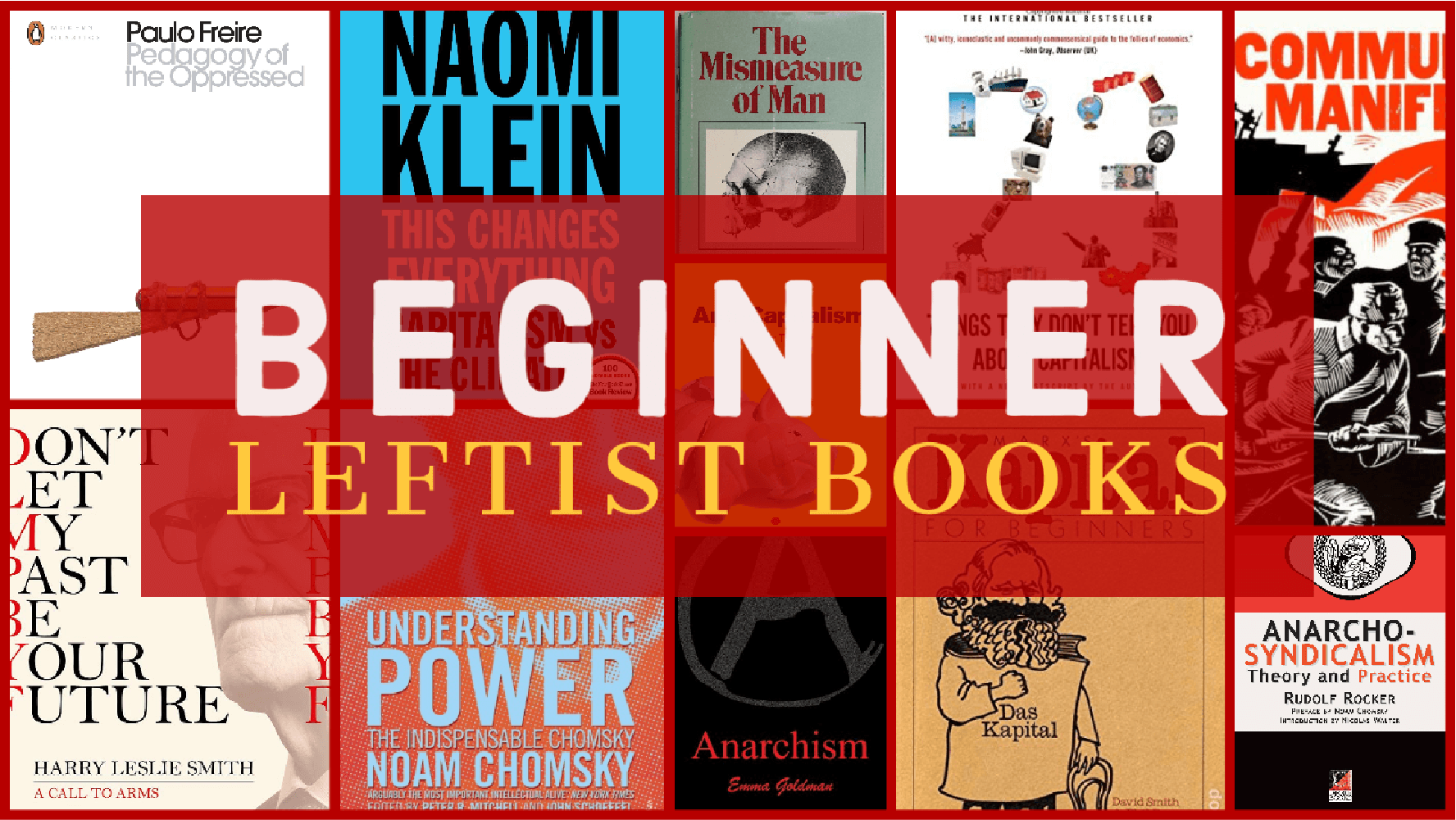 Beginner leftist books